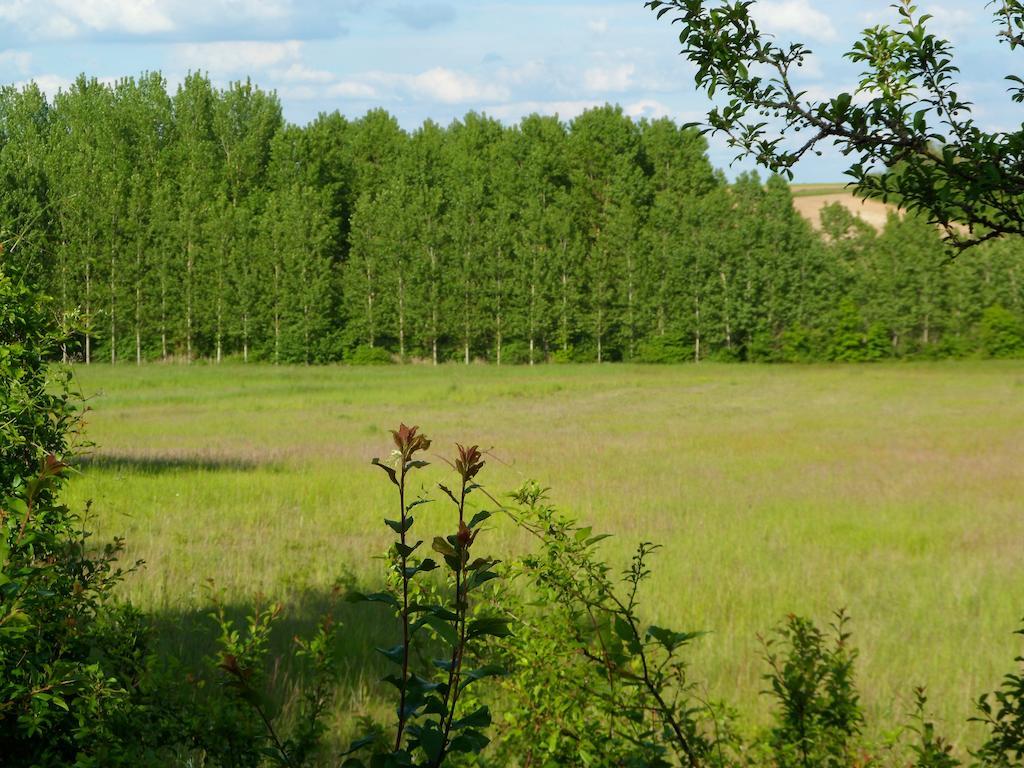 La Cle Des Chants Tauxigny Ngoại thất bức ảnh