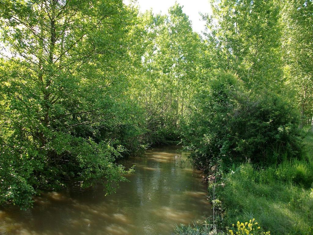 La Cle Des Chants Tauxigny Ngoại thất bức ảnh