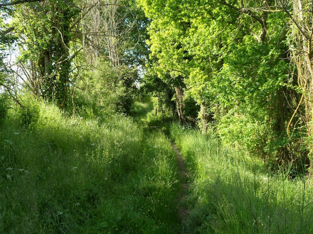 La Cle Des Chants Tauxigny Ngoại thất bức ảnh